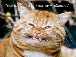 Грабитель эффектно избавился от полицейской погони