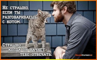 Кейт Бекинсейл весело играет в парикмахерскую со своим котом Клайвом