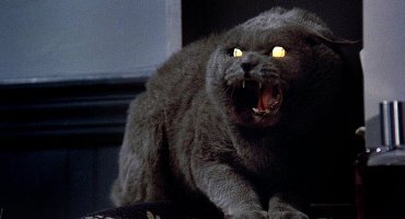 Может и хорошо,что не ожила. А то,все мы помним,что может случается,если коты оживают,благодаря Стивену Кингу.