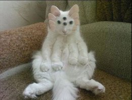 ТС, тяжелые наркотики - это плохо!