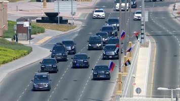 ещё кабаны...