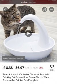 Попробуйте электрическую поилку-фонтанчик. Им, наверное, кажется, что проточная вода свежее (как ручей в природе).