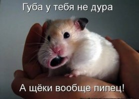 На ее место - в смысле выносить алмазы в трусах? Про трусы, кстати, бред - там досмотр голышом проходят, так что выносить придется по другому... (сарказм)