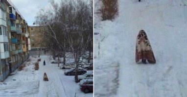 Это по-вашему гигантская моль? Вот гигантская моль