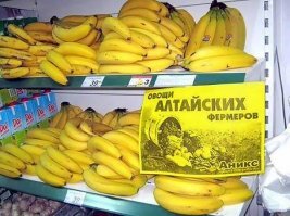 В Госдуме рассматривают проект о ввозе в Россию дефицитных санкционных товаров