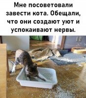 Ну, уют он себе создал, ща пойдет на кухню успокаивать нервы