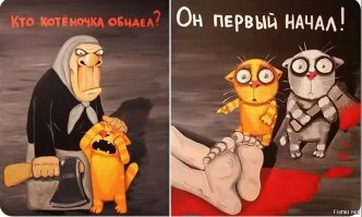 Девушка доверила свою кошку родителям, а они втайне бросили ее в приюте