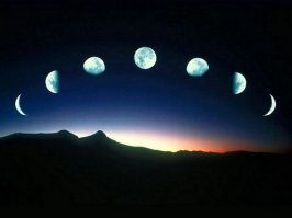 "Это ветчина?": задание из Всероссийской школьной олимпиады поставило пользователей в тупик