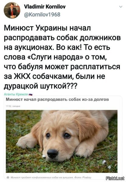 жутко, но пол-беды...а вот на полную, если на аукцион заявится панин......