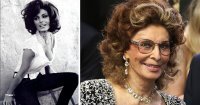 Кто мечтал потрогать груди Софи Лорен, теперь у вас есть шанс