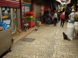 Прикольные и смешные картинки