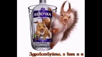 Охотник застрелил в лесу сразу семерых