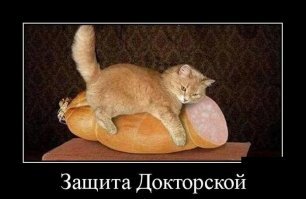 Прикольные и смешные картинки