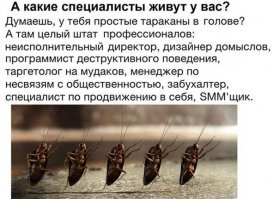 их там много и по количеству и по качеству