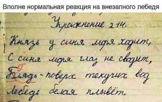 Прикольные и смешные картинки