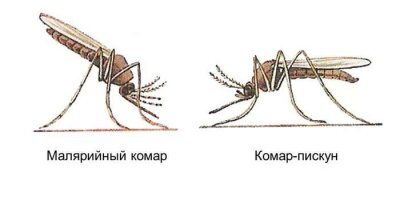 Я еще до школы знал, что они безопасны. Как минимум, в школе это проходят. Аффтар в школе плохо учился? Или еще не дорос до тех классов, где преподают сей предмет?