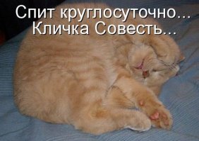 Прикольные и смешные картинки
