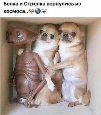 В центре галактики обнаружен объект неизвестной природы, испускающий радиоволны