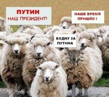 Хорошо, что эта умная женщина не из этого стада :