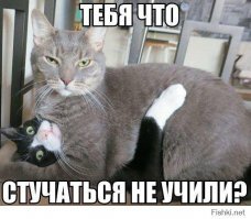 Смешные картинки и не очень