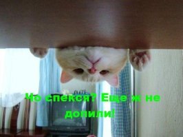 Смешные картинки и не очень