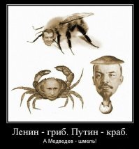 Дэвид Боуи -  моллюск! И мы вам это сейчас докажем