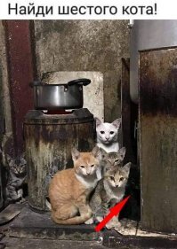 Прикольные и смешные картинки