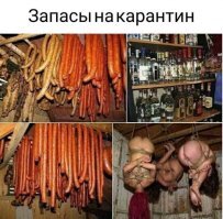 Прикольные и смешные картинки
