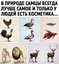 Смешные картинки и не очень
