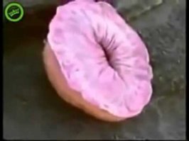 Да вот, держи, сколько угодно такого "добра" в море ))))))