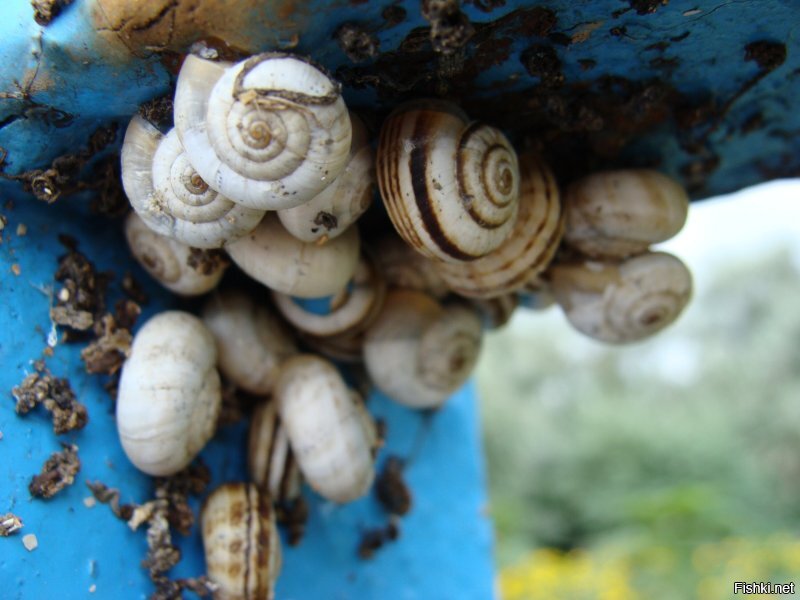 Моё. Тоже извЕняйте  ...