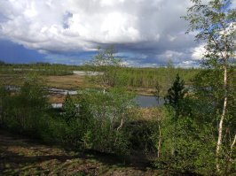 Ямальские будни