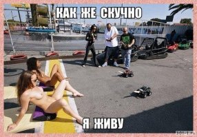 Смешные картинки из соц сетей