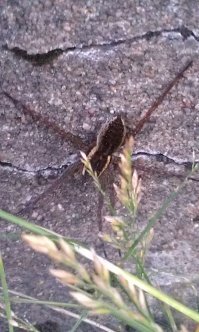 Ну и я добавлю