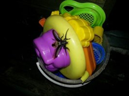 Ну и я добавлю