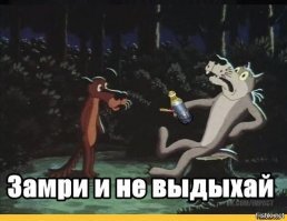 А тем временем в Канаде. Вы не поверите. Они нашли таки средство
