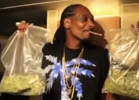 С друзьями.