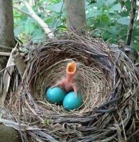 Как сделать лизуна в домашних условиях