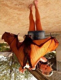 вот из Австралии