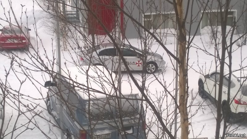 Тарко-Сале и окрестности