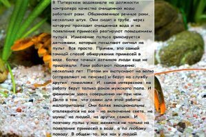 23 исторических фото на которых женщины наглядно демонстрировали правильный феминизм