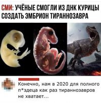 Да подождите вы с мамонтами. Сначала динозавры...