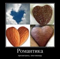 Смешные картинки из соц сетей