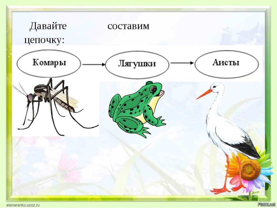 В предложении трудно находить жуков и лягушек