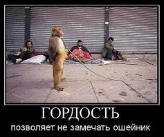 Смешные картинки и не очень