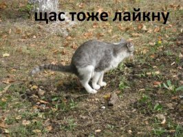 Как американские школьники отмечают выпускной на карантине