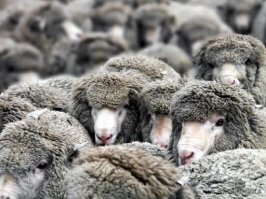 Медсестра в купальнике из Тулы продолжает сводить с ума весь мир