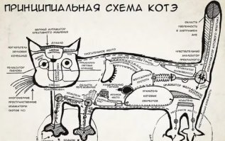 Как и зачем кошки выдвигают когти?
