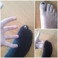 Смешные картинки