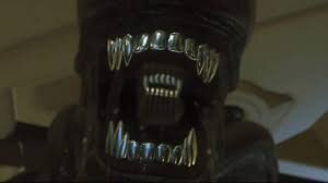 Прикольные и смешные картинки